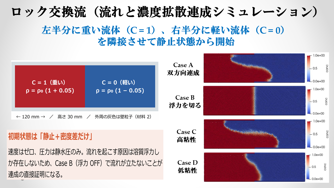 ロック交換流（流れと濃度拡散連成シミュレーション）